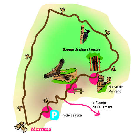 mapa peña falconera