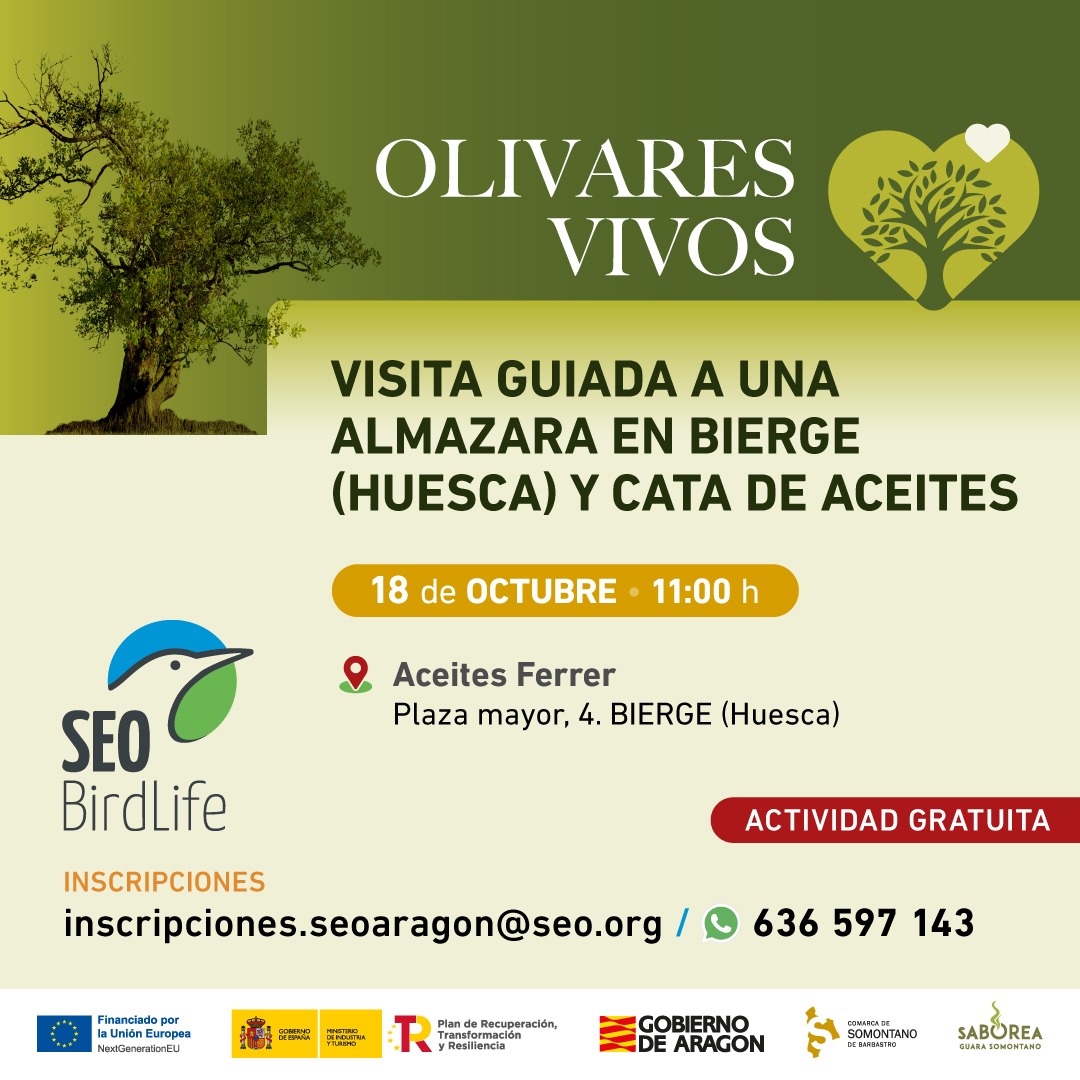 Visita almazara Bierge