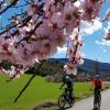Bodegas_de_la_Carrodilla_2
