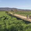 Ribera_del_Alcanadre_5