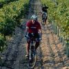 Va_Verde_del_Vino