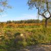 Vias_de_Guara_6