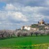 Campos De Bierge 7 Campos De Bierge 7