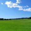 Ruta De Los Viñedos 6 Ruta De Los Viñedos 6