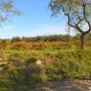 Ruta De Los Viñedos Ruta De Los Viñedos