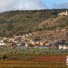 Ruta De Los Viñedos 4 Ruta De Los Viñedos 4
