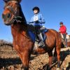 Caballos 2 Caballos 2