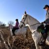 Caballos 3 Caballos 3