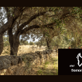 Camino Histórico Berbegal 2