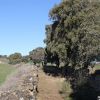 Camino Histórico De Berbegal 3