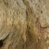 Abrigochimiachas Abrigochimiachas