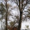 Ruta La Vida En El Carrizo