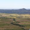 Ruta De Los Viñedos 6 Ruta De Los Viñedos 6