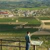 Ruta De Los Viñedos Ruta De Los Viñedos