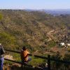 Ruta De Los Viñedos 8 Ruta De Los Viñedos 8