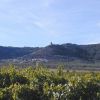 Ruta De Los Viñedos 2 Ruta De Los Viñedos 2
