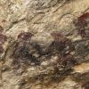 Arte Rupestre   5