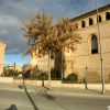 Centro Del Somontano Centro Del Somontano