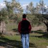 Bierge. Molino Oleario 4 Bierge. Molino Oleario 4