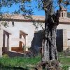 Buera. Santuario De Dulcis 4 Buera. Santuario De Dulcis 4