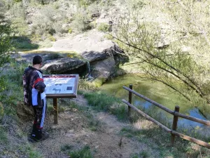 Ruta al Estaño Ros Palomos, Salas Bajas