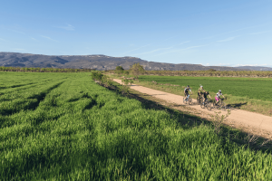 Ruta Ribera del Alcanadre