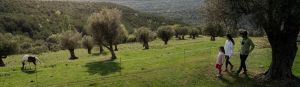 Observación de la naturaleza