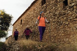 Muretes de piedra seca. Pedruel
