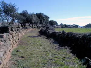Calzada romana. Berbegal