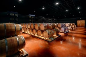 Bodega el Grillo y la Luna