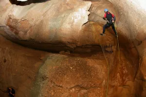 Palomeras del Fornocal