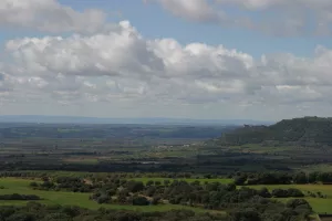 Viñedos de Salas Altas