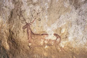Abrigos de Chimiachas y Quizáns