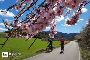 Riberas del Cinca