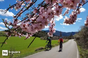 Riberas del Cinca