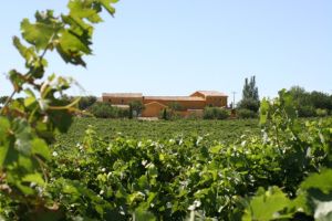 Bodegas Meler