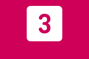 3 jours