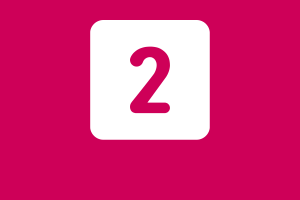 2 días
