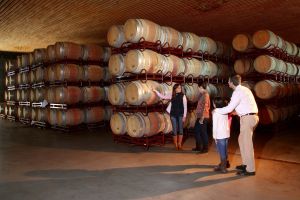 Weinstraße Somontano