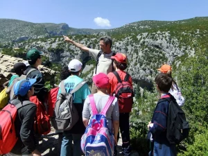 Nacho Pardinilla. Guía Comarcal