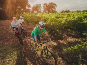 Ruta Vía verde del vino