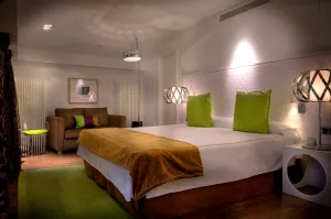 Hotel San Ramón del Somontano