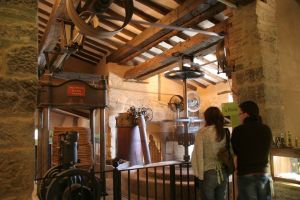 Traditional olive oil mill. Buera