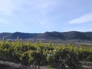 Ruta de los Viñedos, Salas Altas
