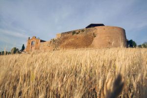 Old Wall. Adahuesca