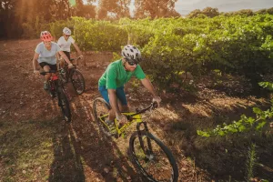 Wine Greenway Route