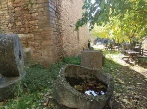 Molino de aceite de Radiquero