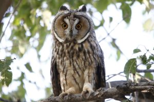 El Diapiro de Estada. Estadilla - Estada