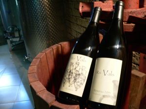 Bodega Ras Vals