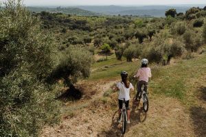 Ruta Campos de Bierge